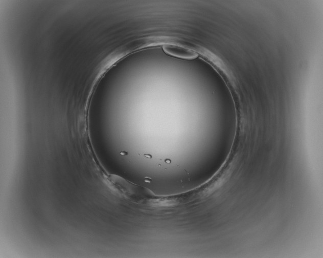 X0000110671145200906121304