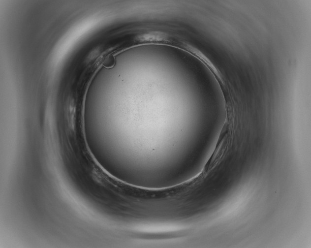 X0000110671151200906121304
