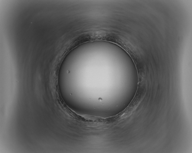 X0000110671153200906121304
