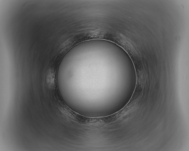 X0000110671154200906121304