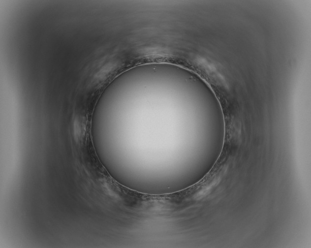 X0000110671157200906121304