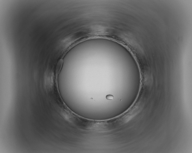 X0000110671161200906121304