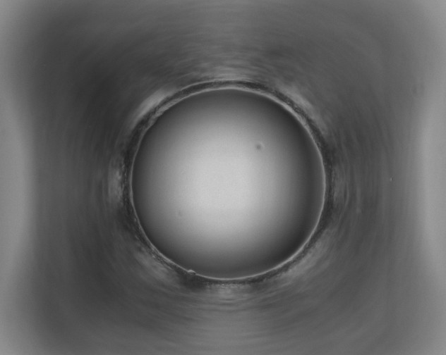 X0000110671163200906121304