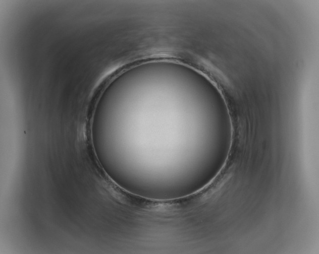 X0000110671166200906121304