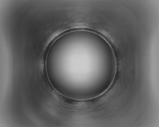 X0000110671167200906121304