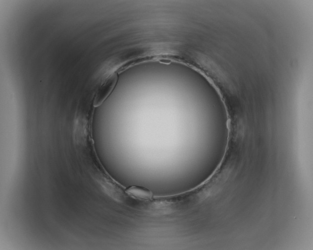 X0000110671169200906121304