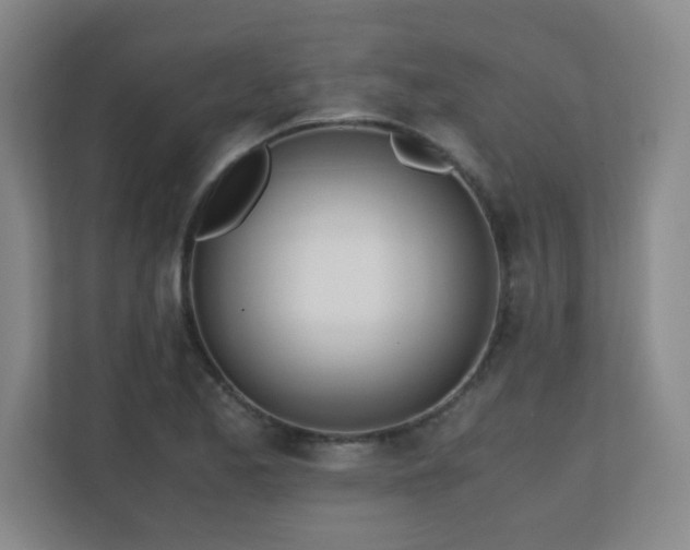 X0000110671173200906121304