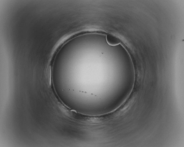 X0000110671175200906121303