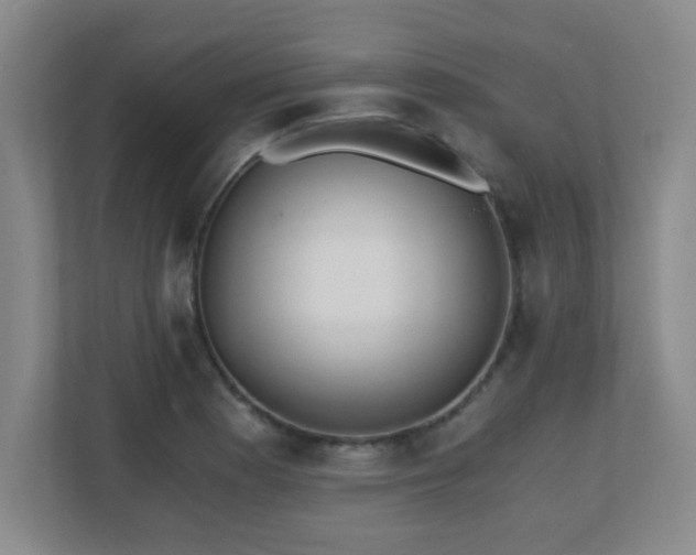 X0000110671177200906121303