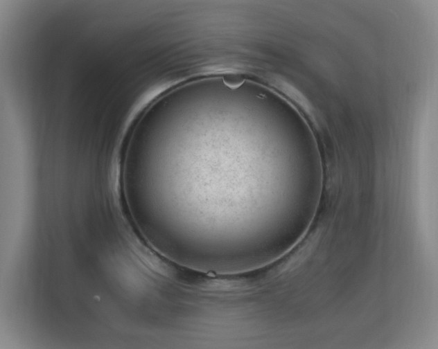 X0000110671179200906121303