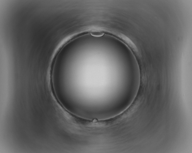 X0000110671183200906121303