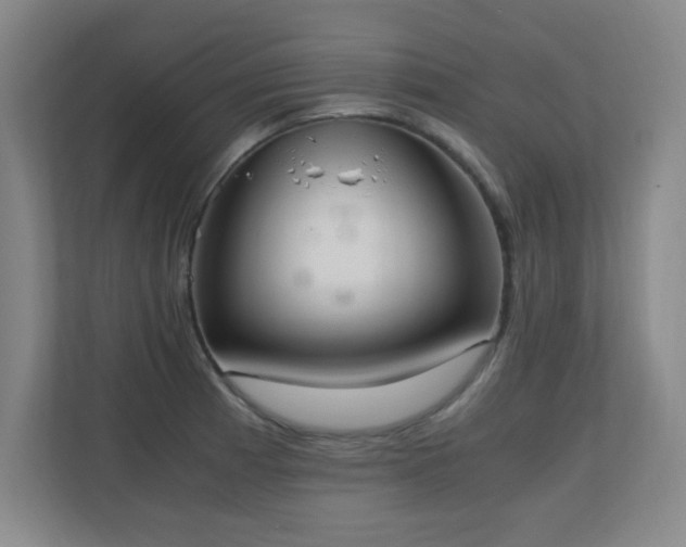 X0000110671185200906121303