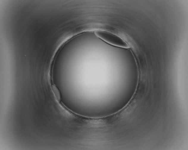 X0000110671189200906121303