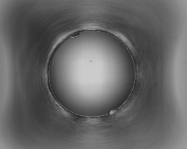 X0000110671191200906121303