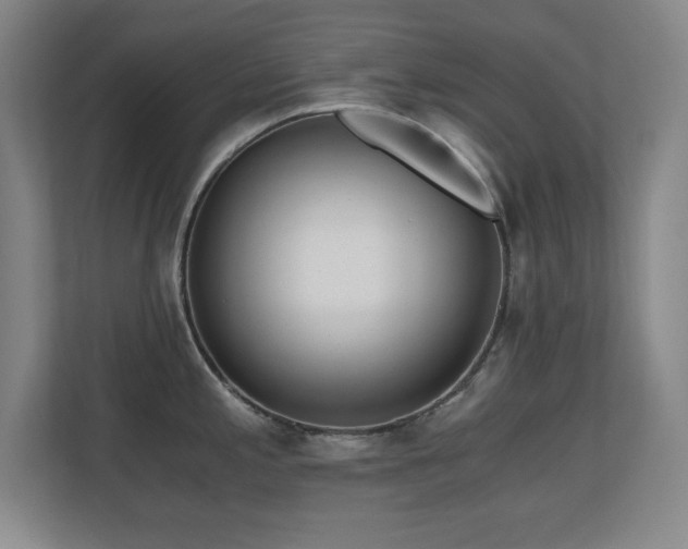 X0000110671197200906121303