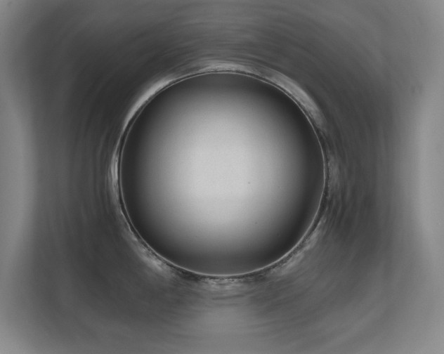X0000110671198200906121303