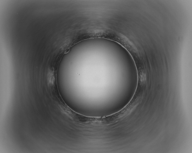 X0000110671204200906121303