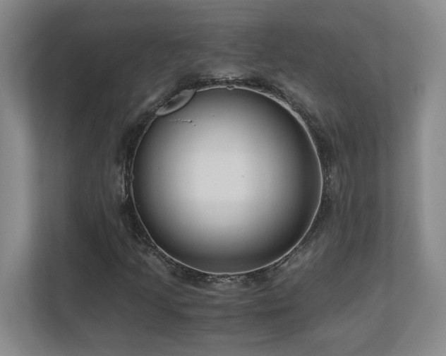 X0000110671205200906121303
