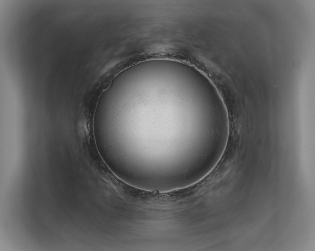 X0000110671206200906121303
