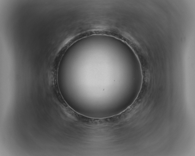 X0000110671208200906121303