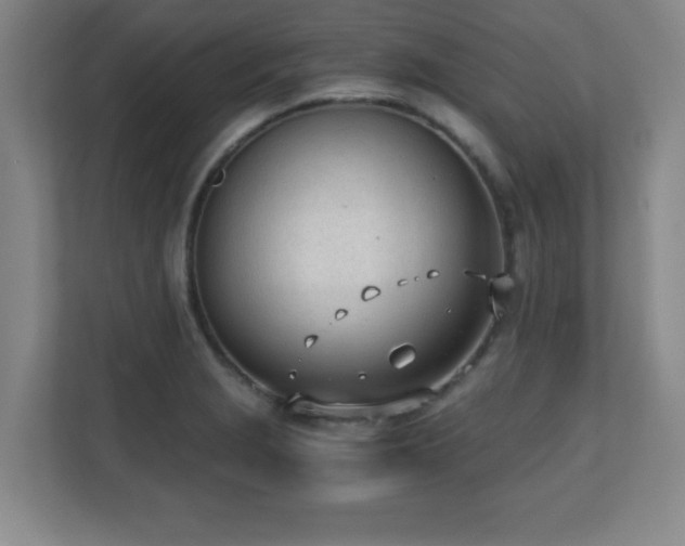 X0000110671229200906121303