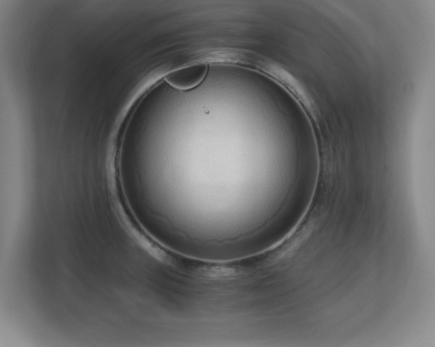X0000110671235200906121303