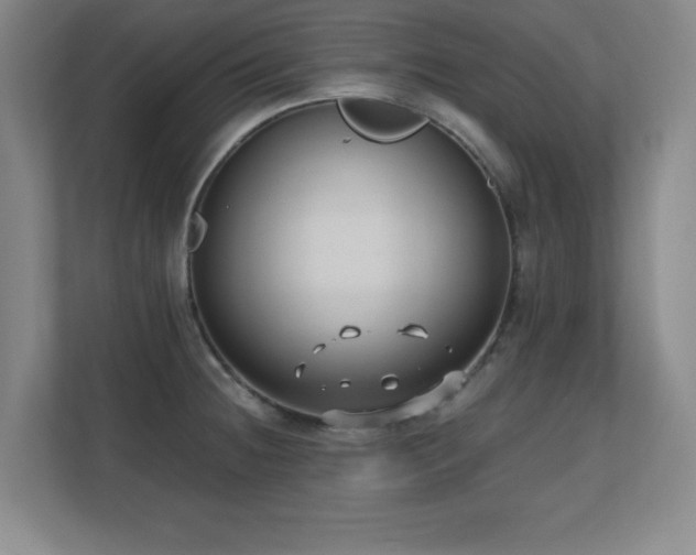 X0000110671236200906121303