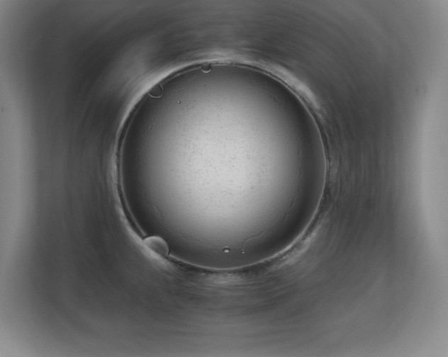 X0000110671239200906121303