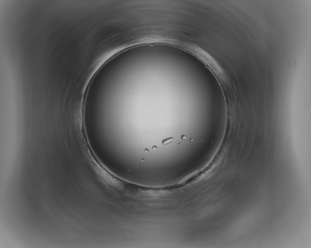X0000110671244200906121303