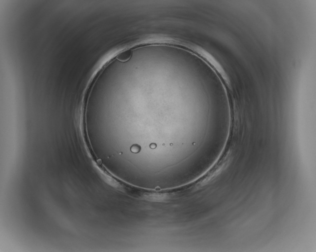 X0000110671245200906121303