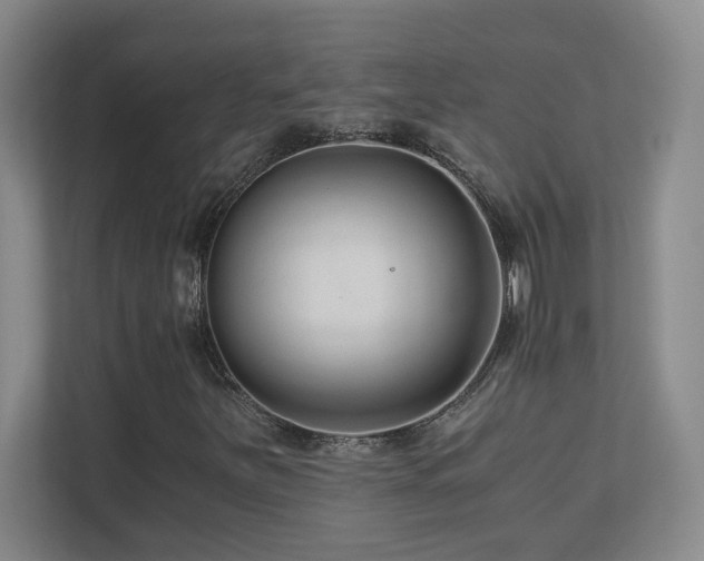 X0000110671251200906121303