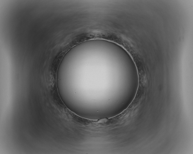 X0000110671253200906121302