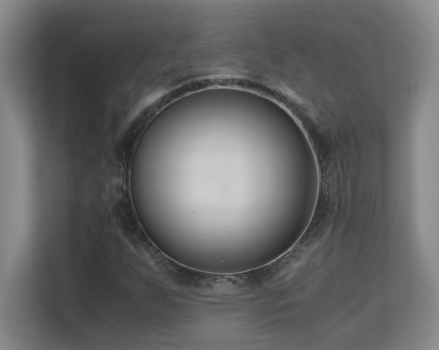 X0000110671255200906121302
