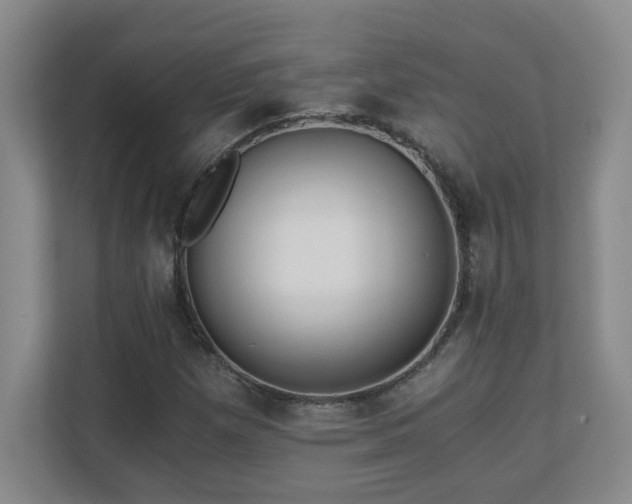 X0000110671257200906121302
