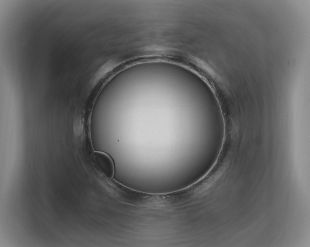 X0000110671259200906121302