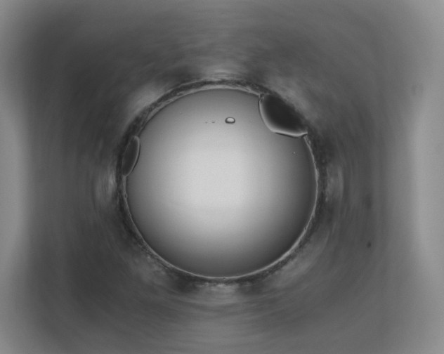 X0000110671261200906121302