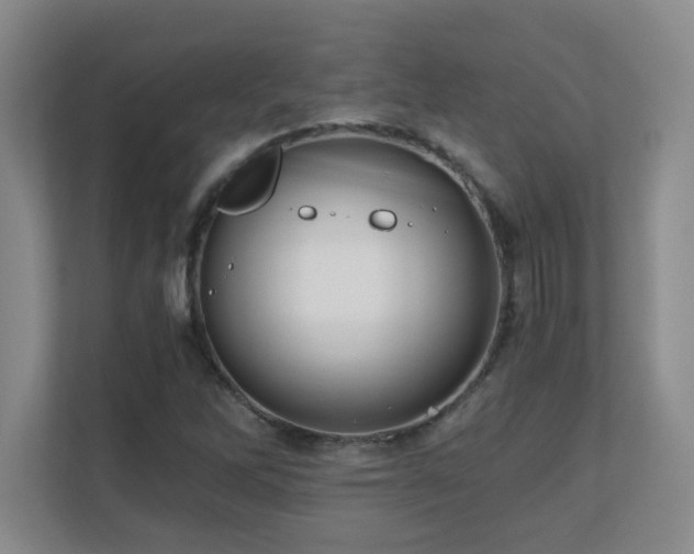 X0000110671262200906121302