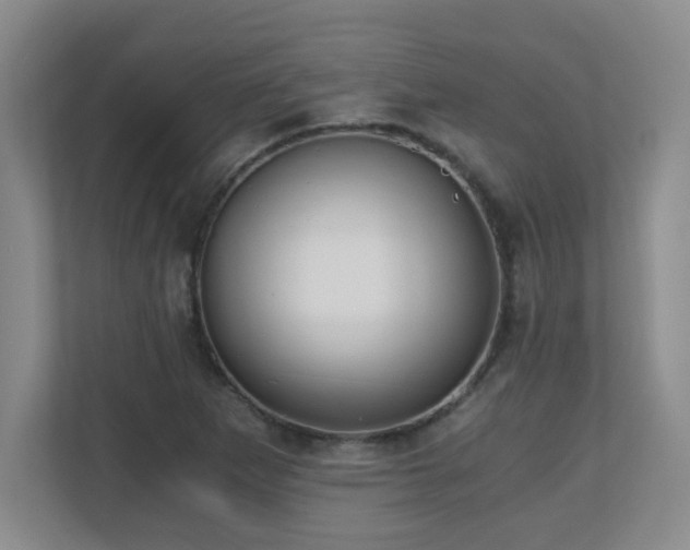 X0000110671265200906121302