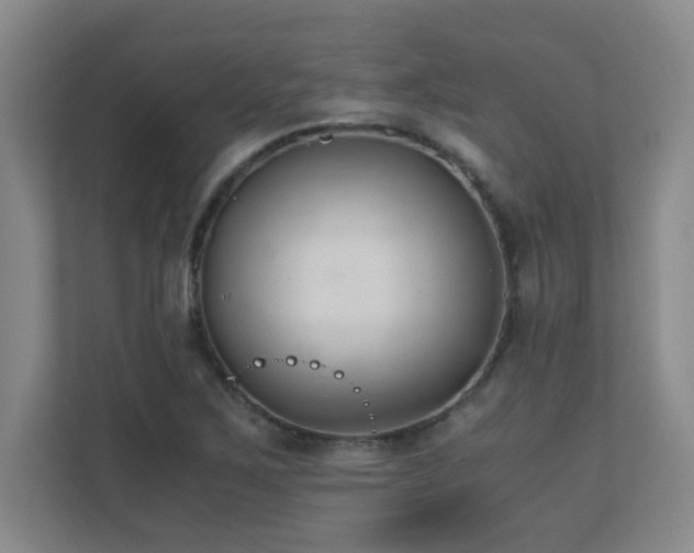 X0000110671267200906121302