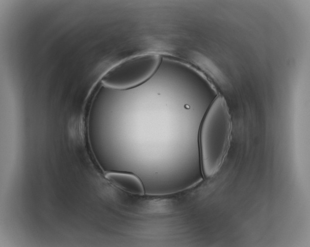 X0000110671268200906121302