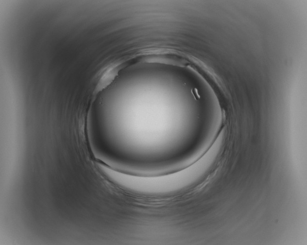 X0000110671273200906121302