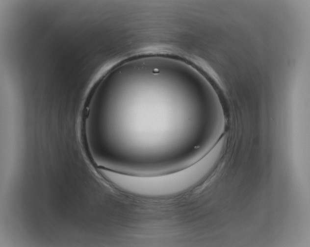 X0000110671277200906121302