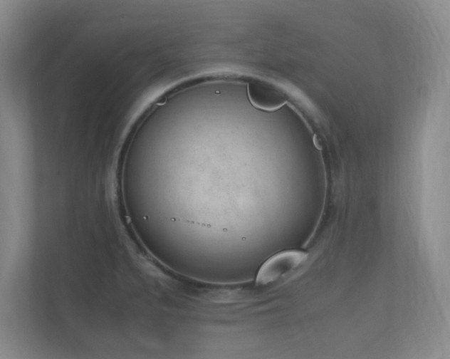 X0000110671279200906121302