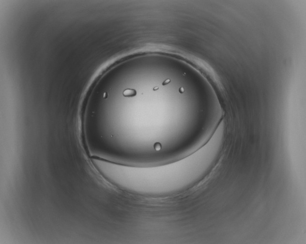 X0000110671280200906121302