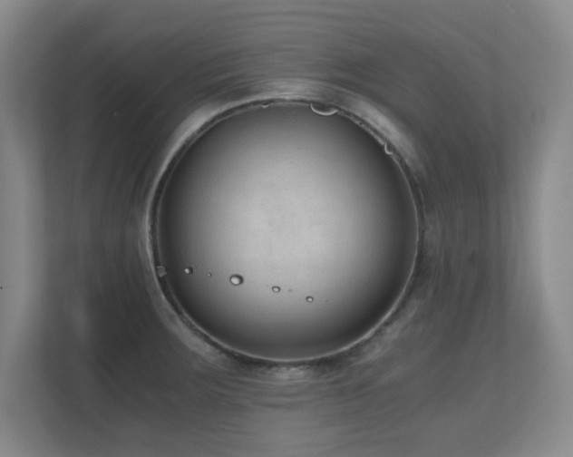 X0000110671283200906121302