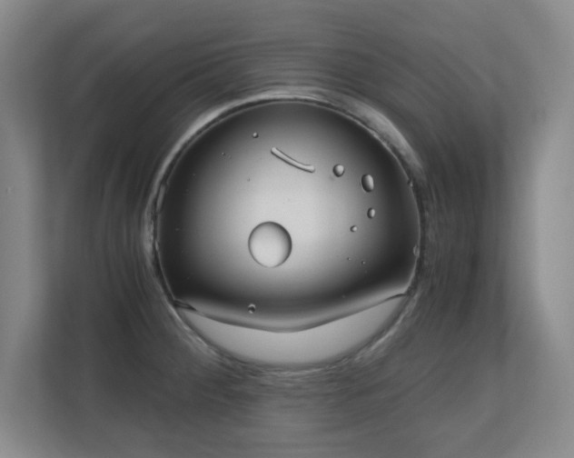 X0000110671284200906121302