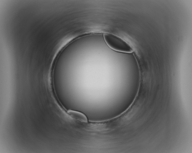 X0000110671285200906121302