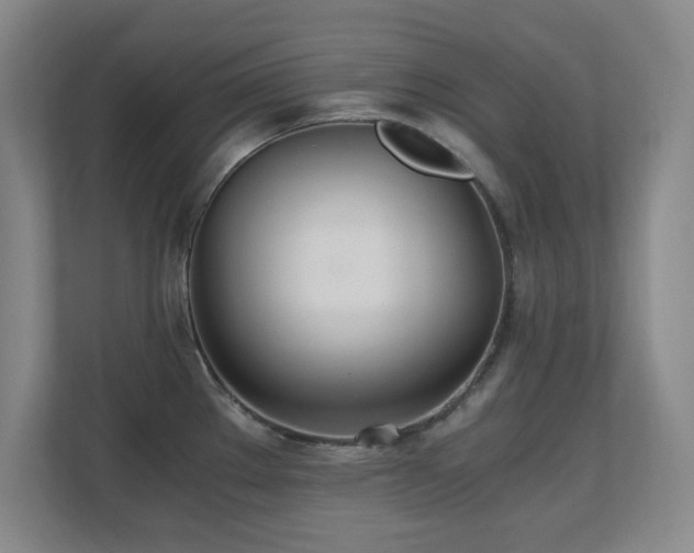 X0000110671289200906121302
