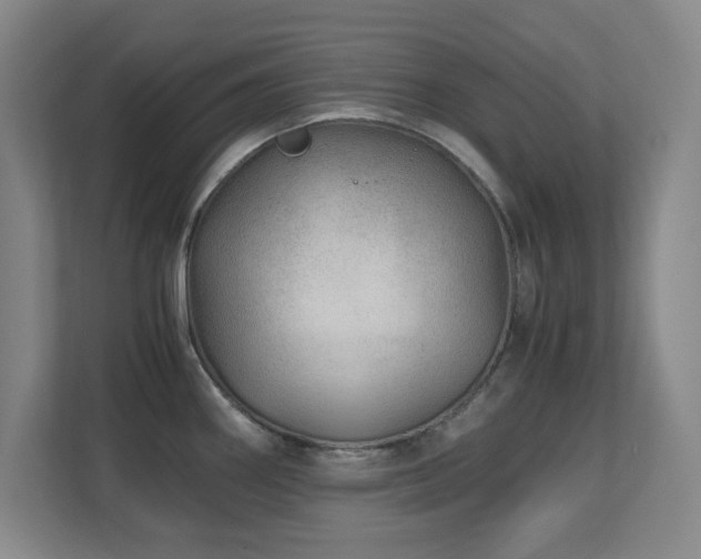 X0000110671290200906121302