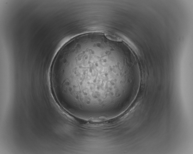 X0000110671291200906121302